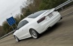 Tinted tails-1.jpg