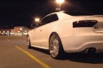 Tinted tails-2.jpg