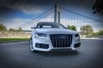 2_Audi_S5_ibis_white_grill_small.jpg